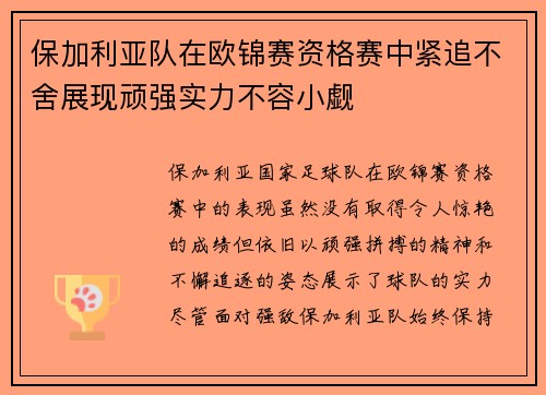 保加利亚队在欧锦赛资格赛中紧追不舍展现顽强实力不容小觑