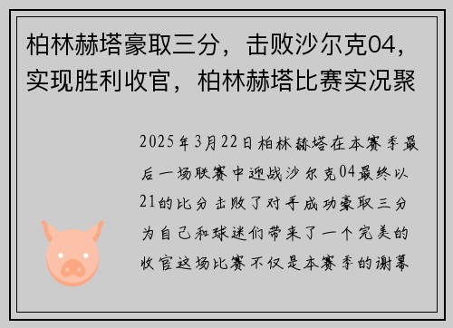 柏林赫塔豪取三分，击败沙尔克04，实现胜利收官，柏林赫塔比赛实况聚胜顽球汇
