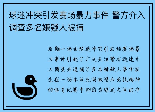 球迷冲突引发赛场暴力事件 警方介入调查多名嫌疑人被捕